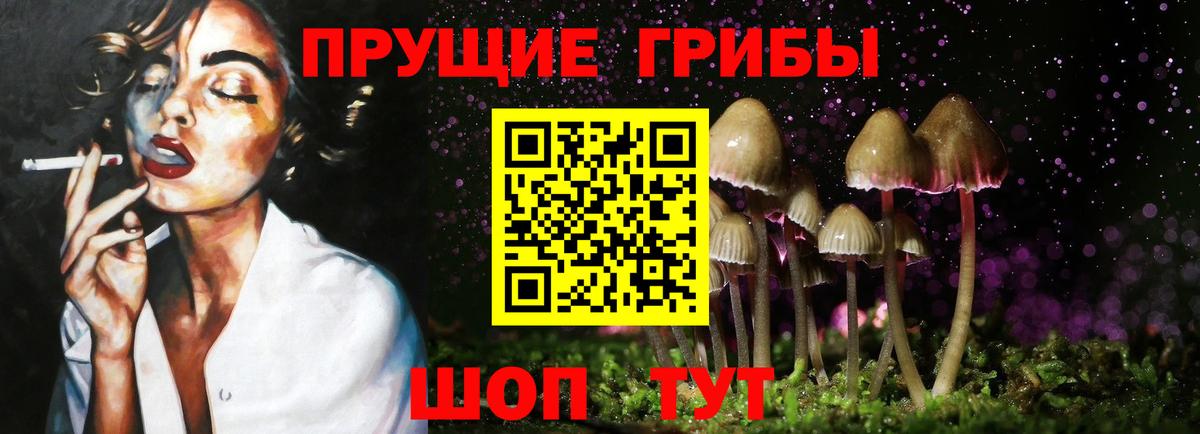 Псилоцибиновые грибы Magic Shrooms  Вход с VPN  Дальнереченск  Галлюциногенные грибы Psilocybe 